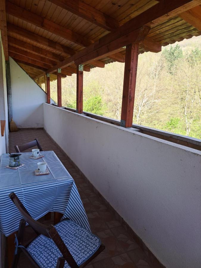 Tratincica Apartment Tjentiste Bagian luar foto